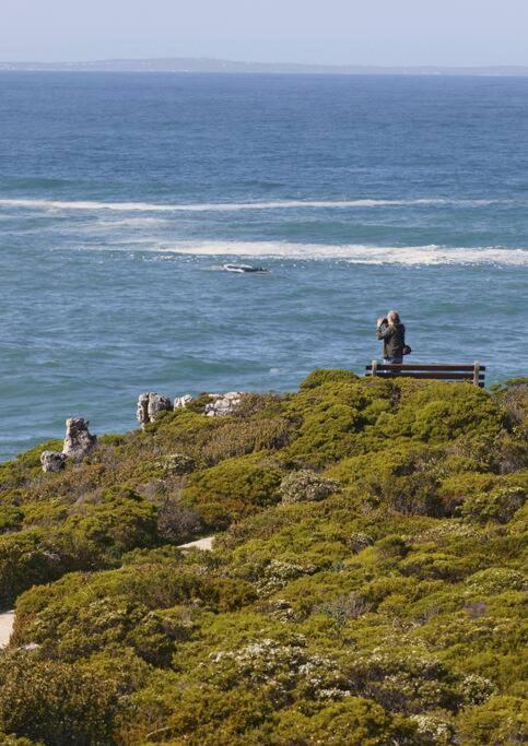 Heartwood Cottage Hermanus Exterior photo