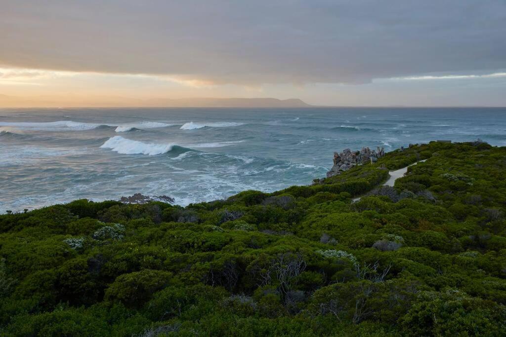 Heartwood Cottage Hermanus Exterior photo