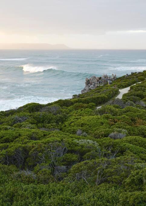 Heartwood Cottage Hermanus Exterior photo